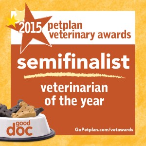 FB_semifinalist_2015_VET