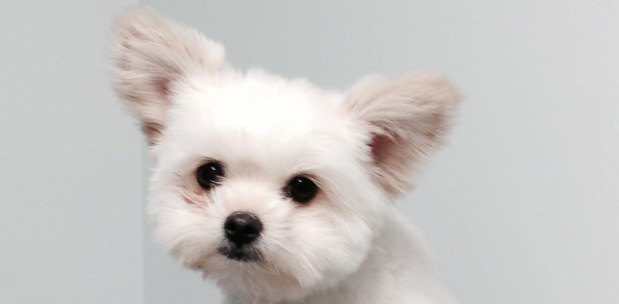 January 2015 Case of the Month – Happy New&nbsp;Year!!!