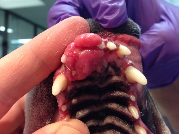 February 2016 – Case of the&nbsp;Month.